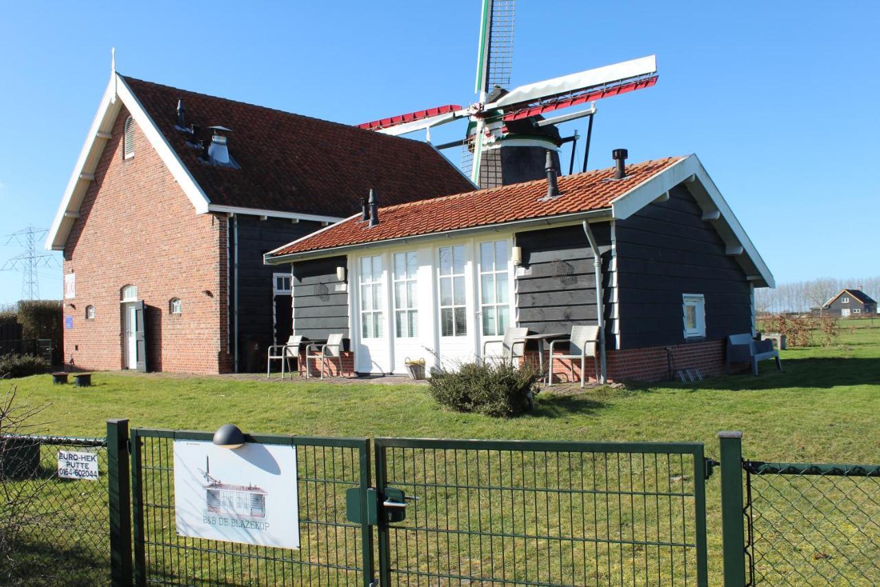 Vakantiehuis Landelijk Slapen Bij Molen In